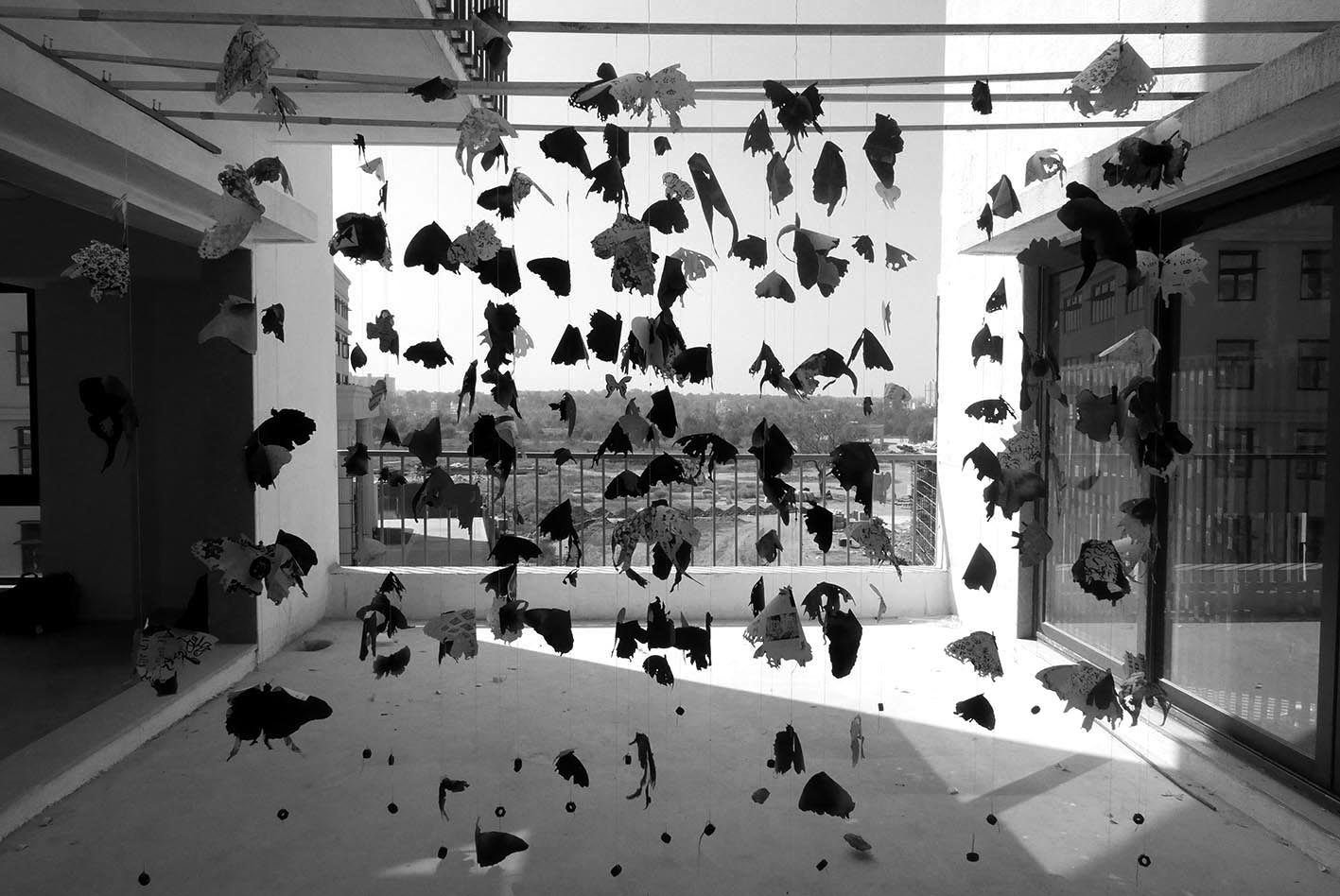 blackbutterflies_grsc