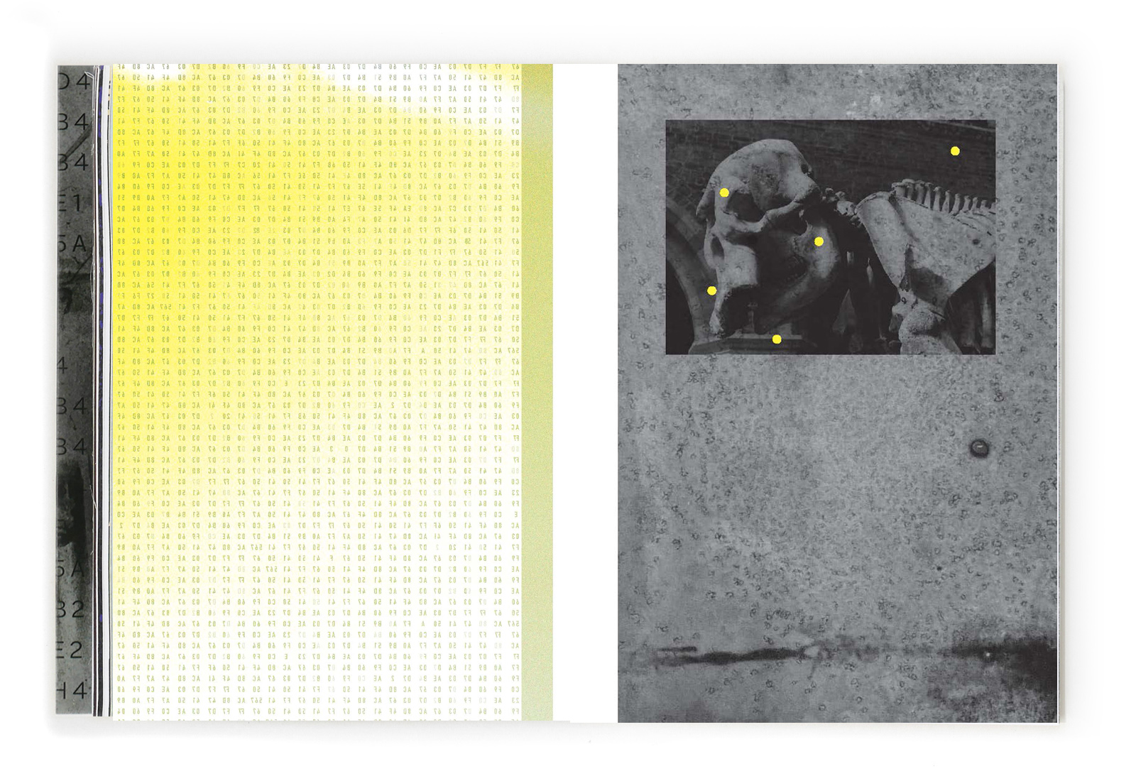 12_Corp_book_1
