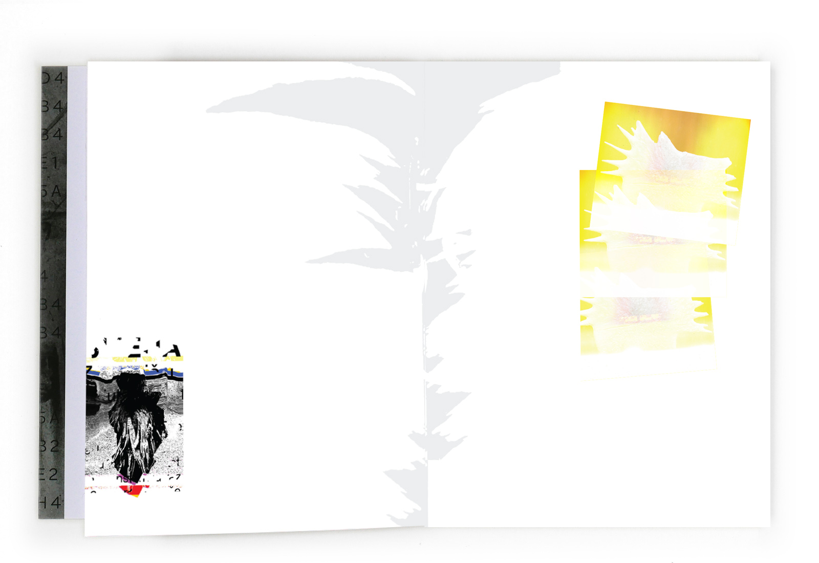 13_Corp_book_1-copy