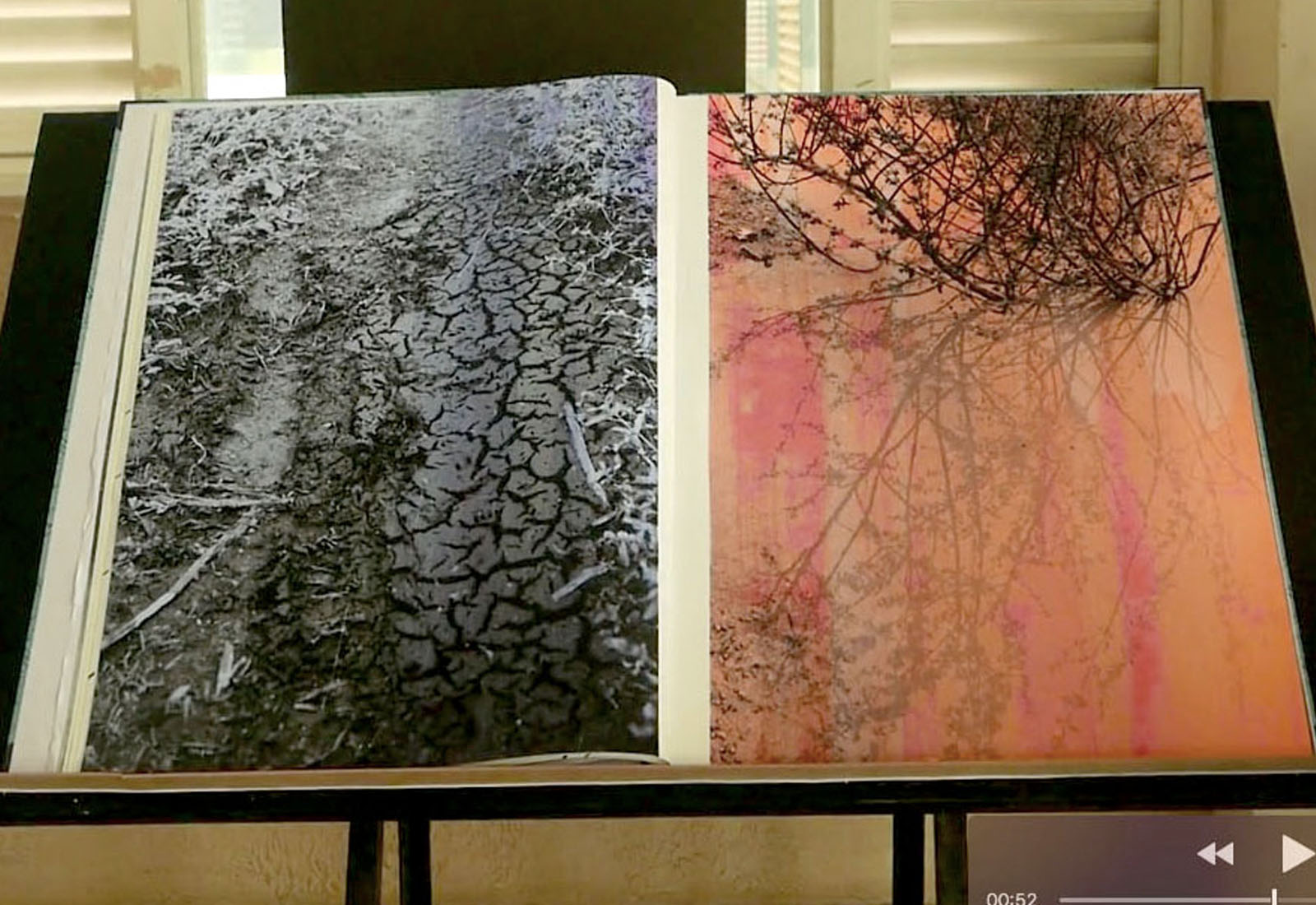 Bookworkshop_slides_0000_Layer 3