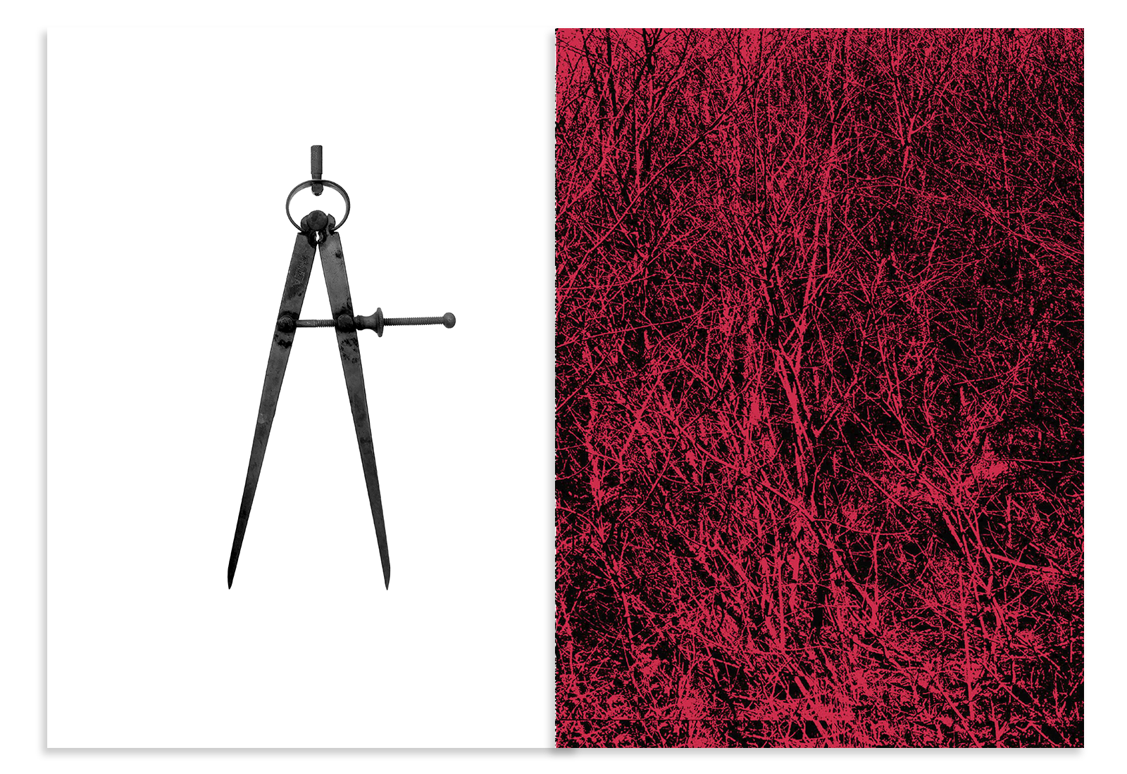 Red_Spread_3